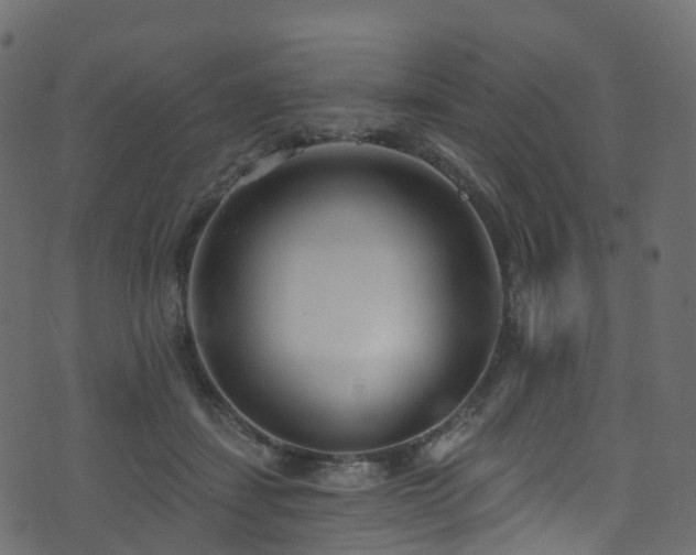 X0000074240459200608251143