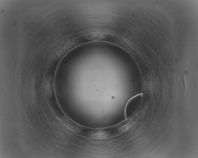 X0000074240460200608251143