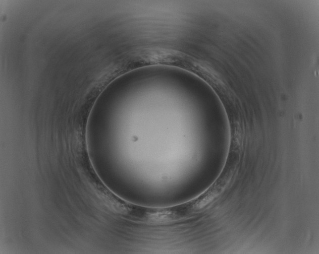 X0000074240461200608251143