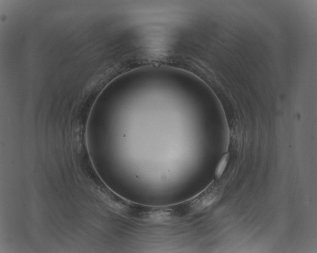 X0000074240462200608251143