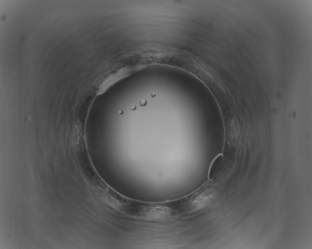 X0000074240463200608251143