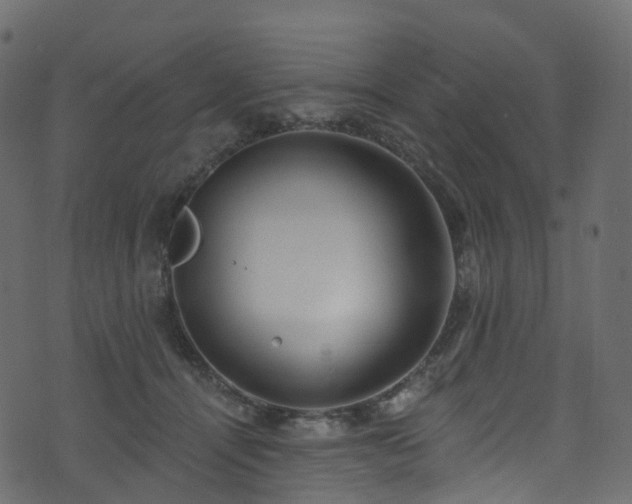 X0000074240464200608251143