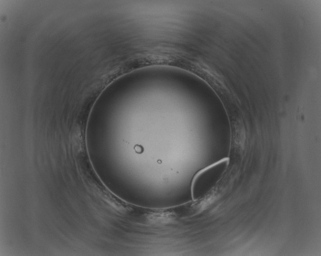 X0000074240465200608251143