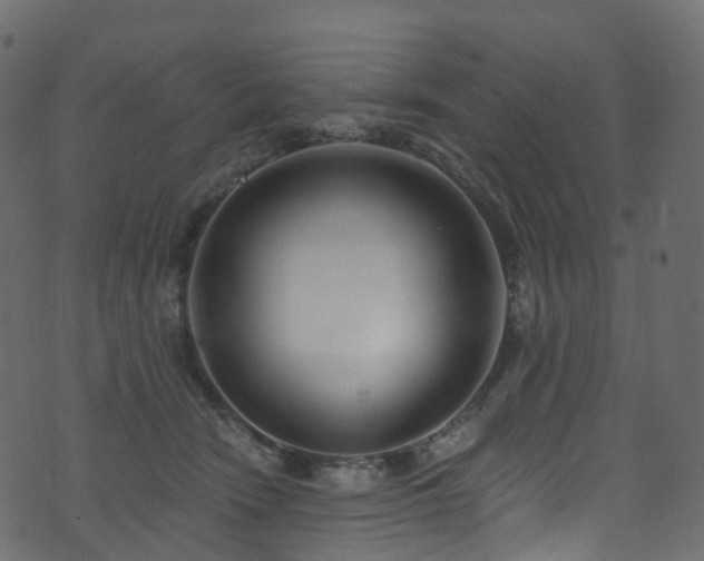 X0000074240466200608251143