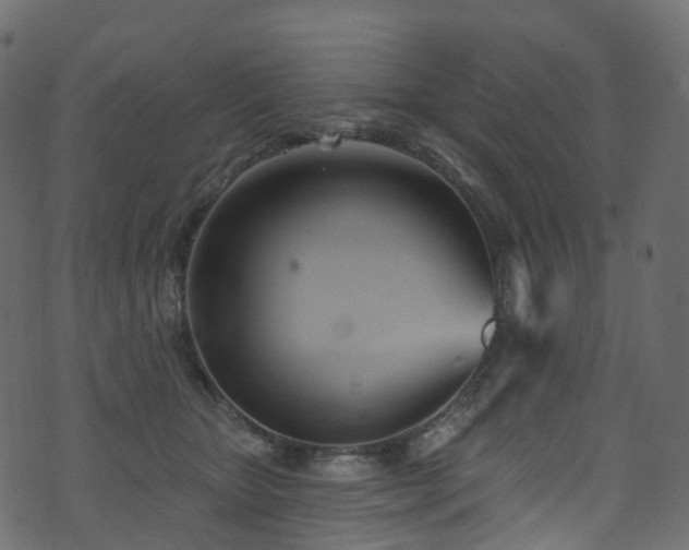 X0000074240467200608251143