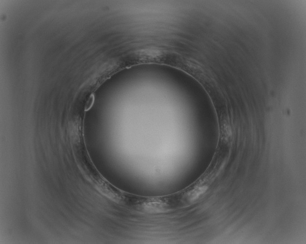 X0000074240468200608251143