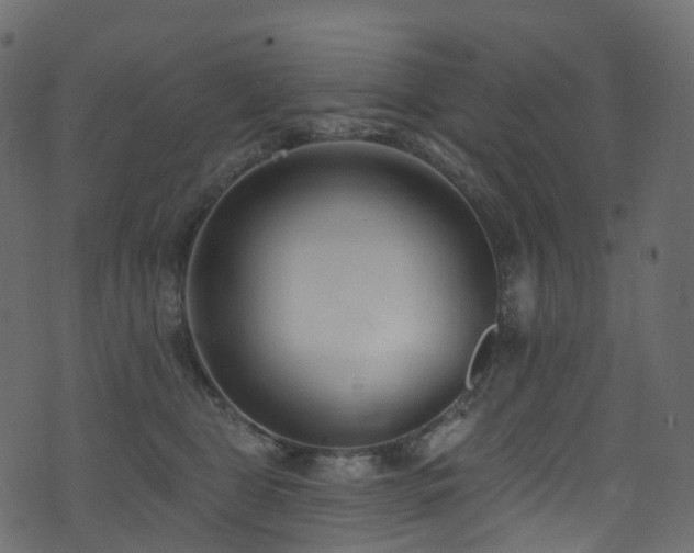 X0000074240469200608251143