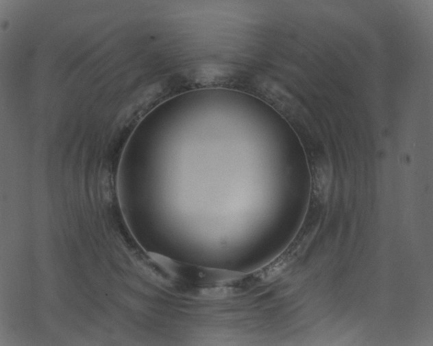 X0000074240470200608251143