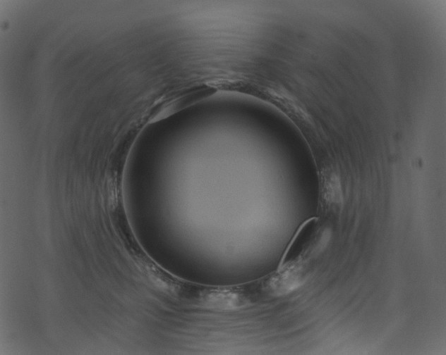 X0000074240471200608251143