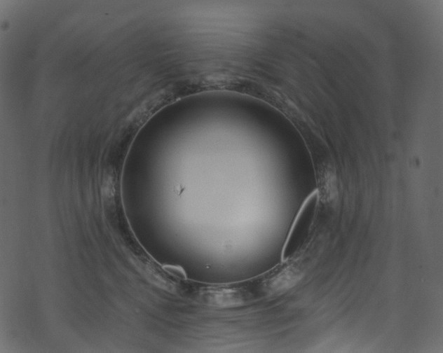 X0000074240472200608251143