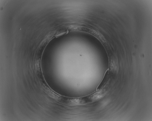 X0000074240473200608251143