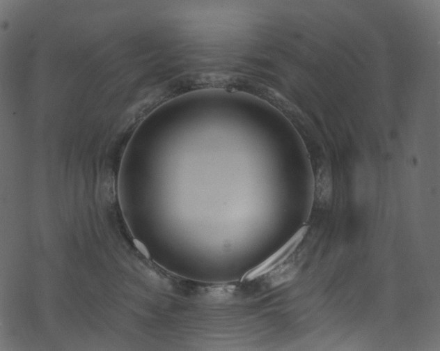 X0000074240474200608251143