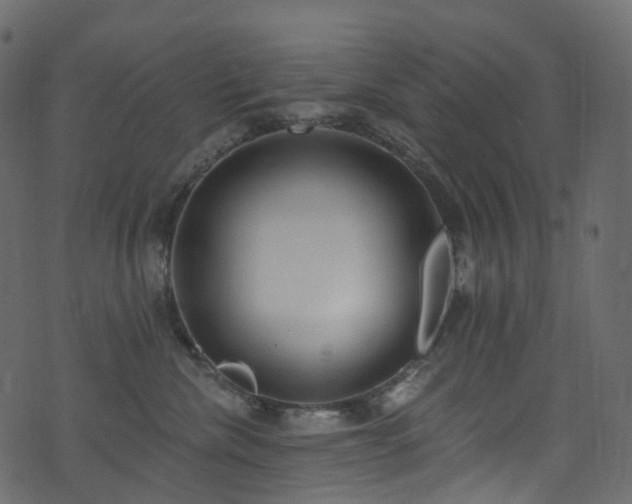 X0000074240476200608251143