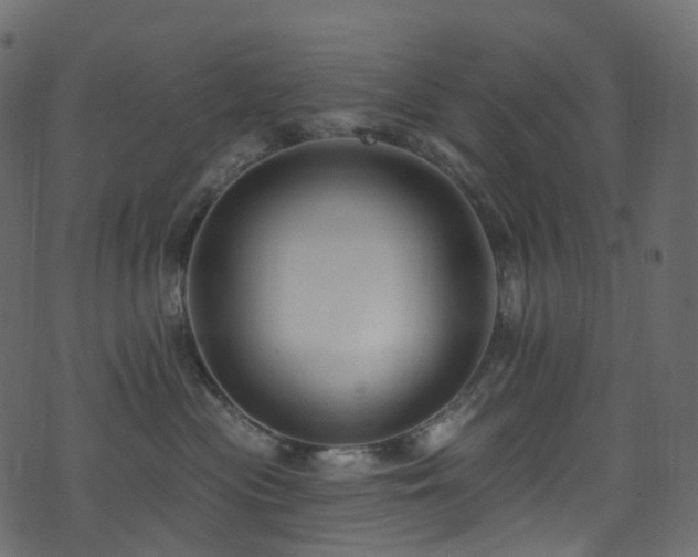 X0000074240477200608251143