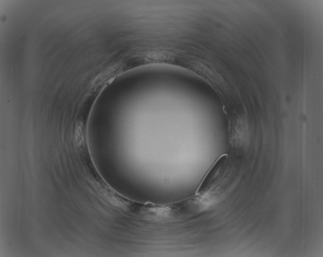 X0000074240478200608251143