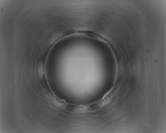 X0000074240479200608251143