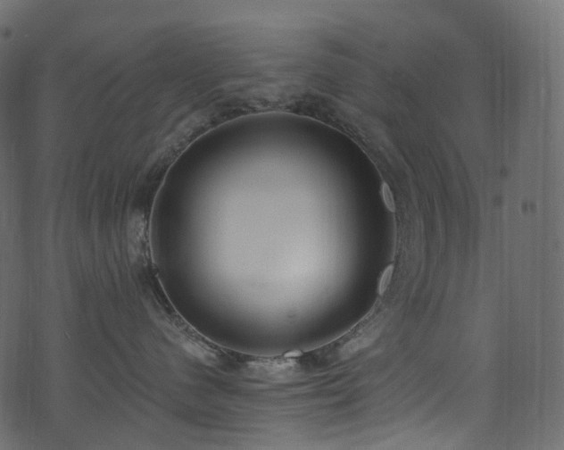 X0000074240480200608251143