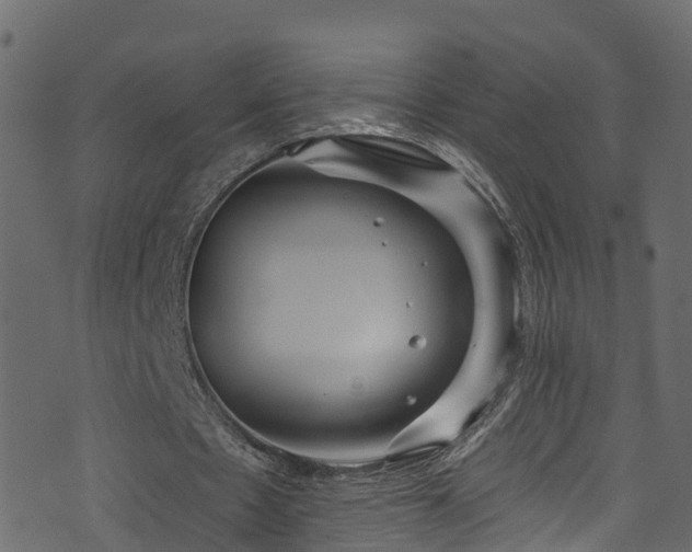 X0000074240481200608251142