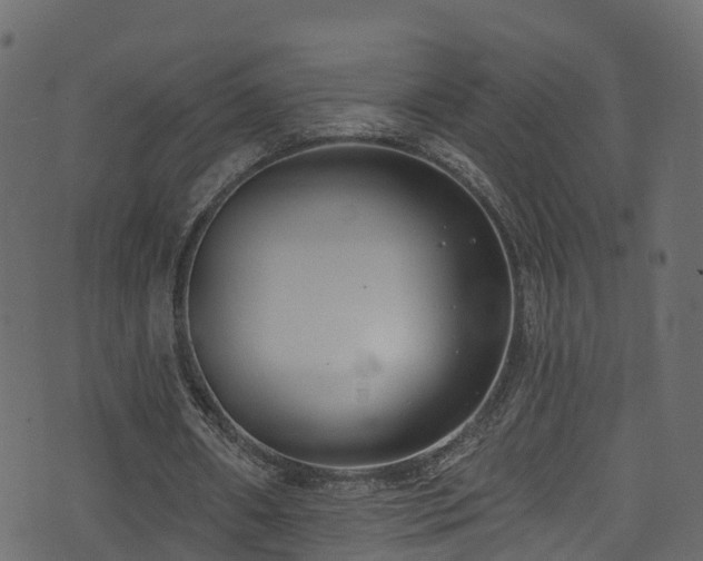 X0000074240482200608251142