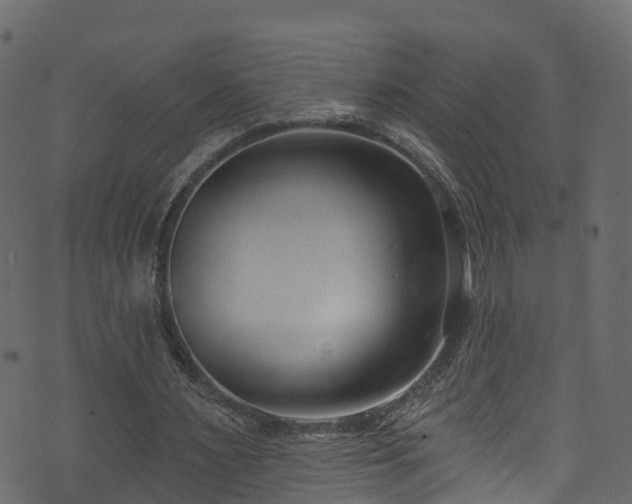 X0000074240483200608251142