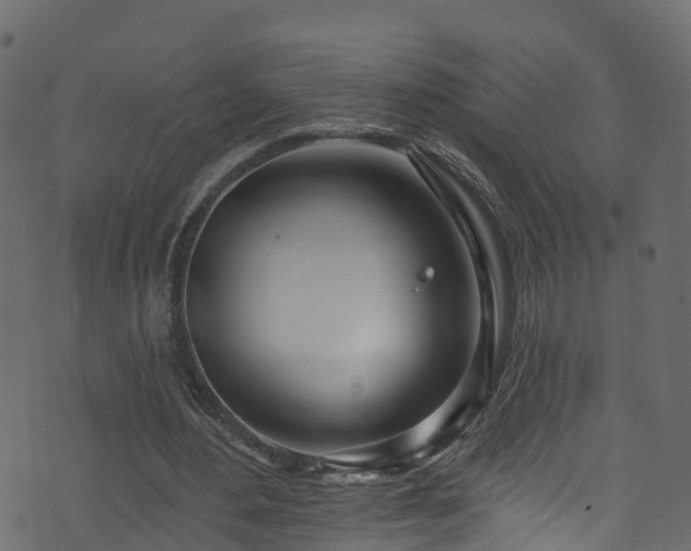 X0000074240484200608251142