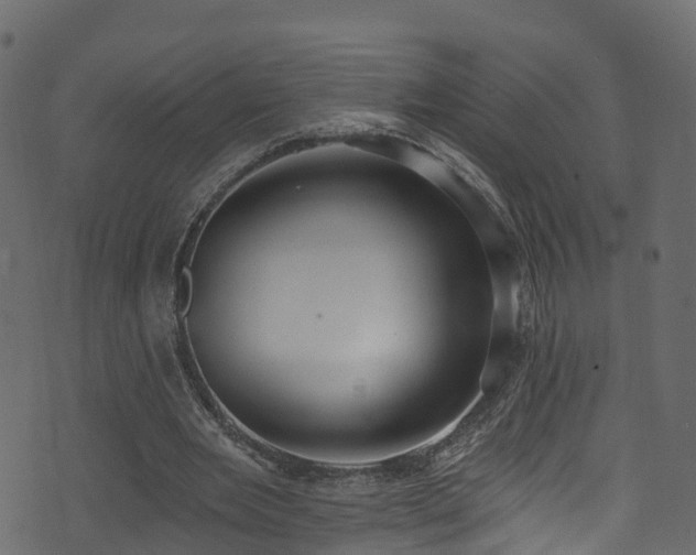 X0000074240485200608251142