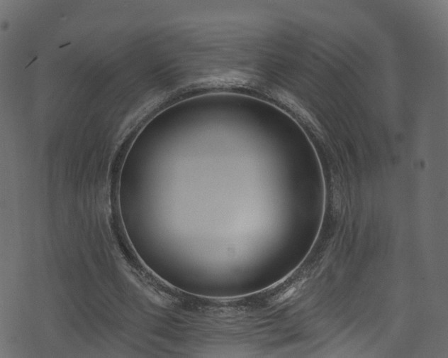 X0000074240486200608251142