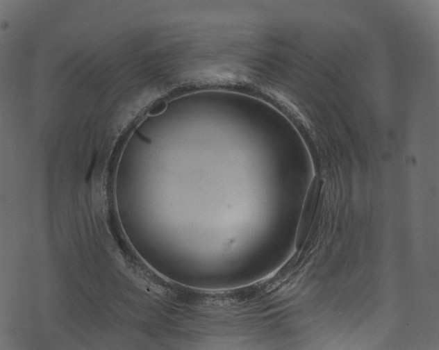 X0000074240487200608251142