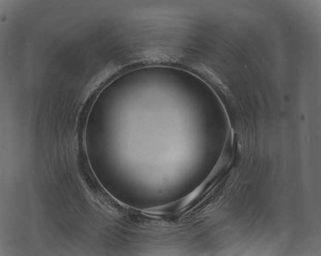 X0000074240488200608251142