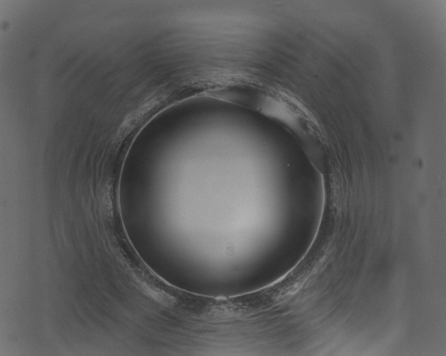 X0000074240489200608251142