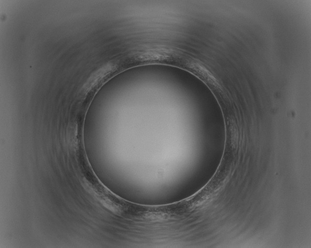 X0000074240490200608251142