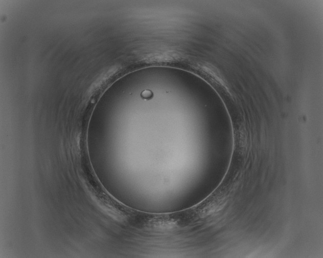 X0000074240491200608251142