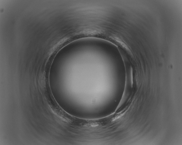 X0000074240492200608251142