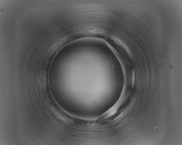 X0000074240493200608251142