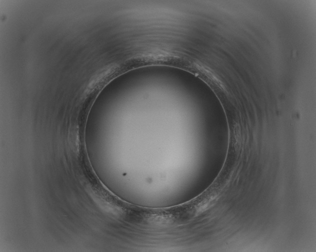 X0000074240494200608251142