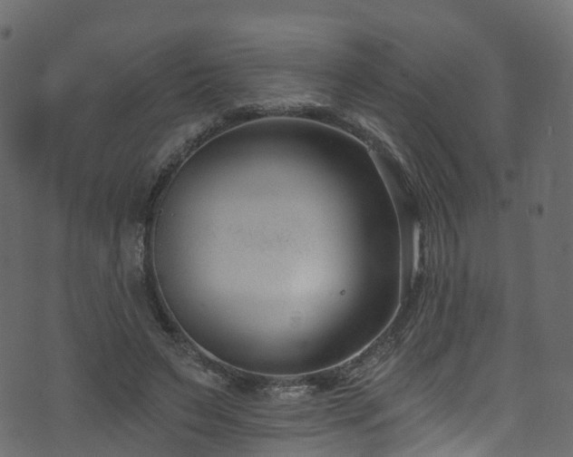 X0000074240495200608251142