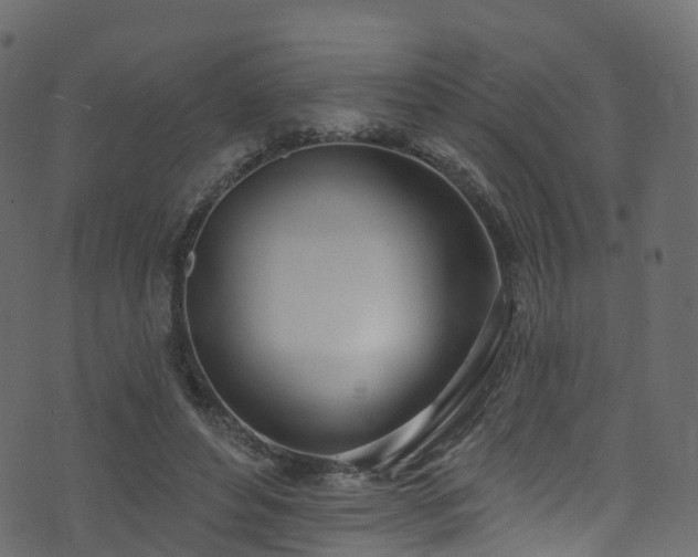 X0000074240496200608251142