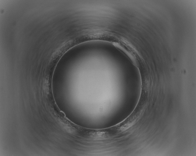 X0000074240497200608251142