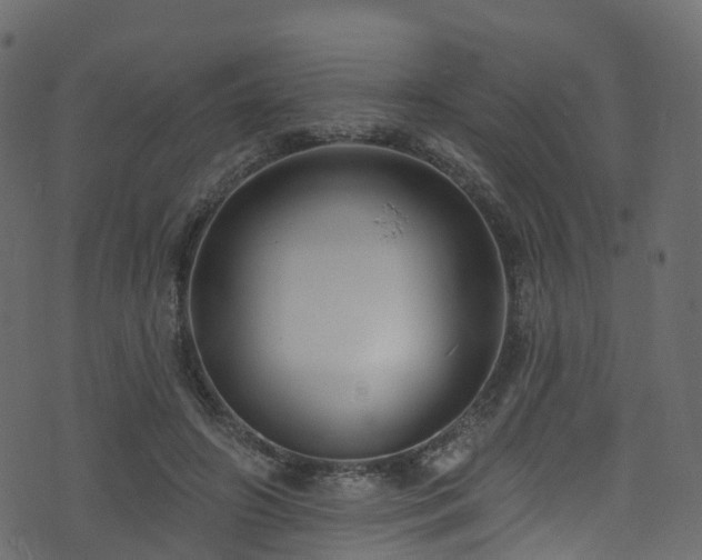 X0000074240498200608251142