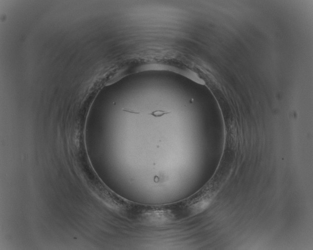 X0000074240499200608251142