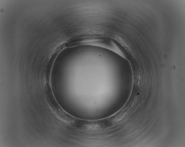 X0000074240500200608251142