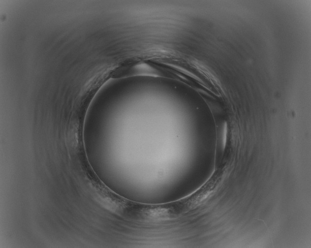 X0000074240501200608251142