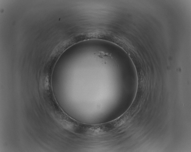 X0000074240502200608251142