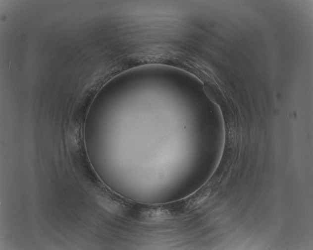 X0000074240503200608251142