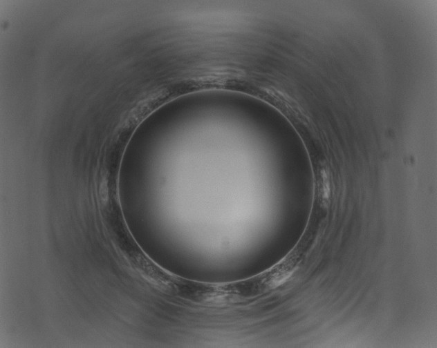 X0000074240504200608251142