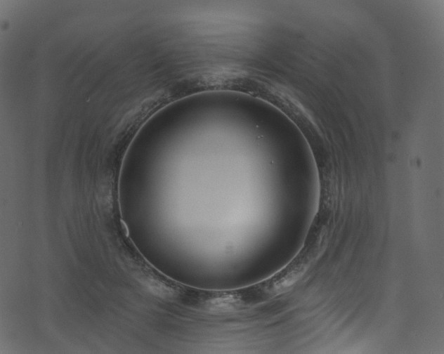 X0000074240505200608251142