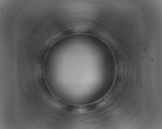 X0000074240506200608251142