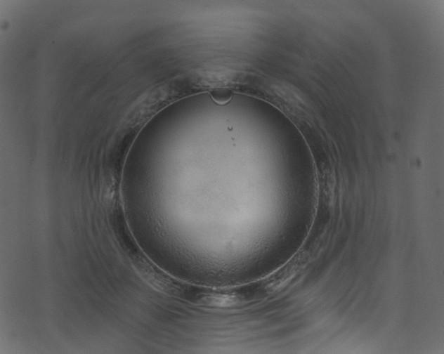 X0000074240507200608251142