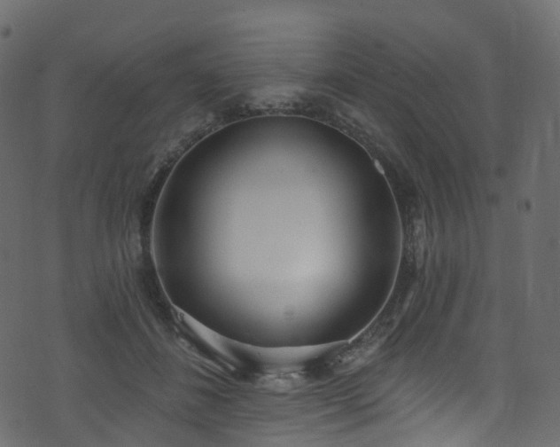 X0000074240508200608251142