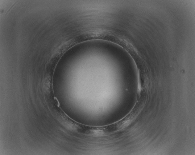 X0000074240509200608251142